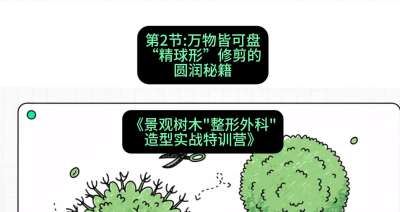 第02节：万物皆可盘&mdash;&mdash;&ldquo;精球形&rdquo;修剪的圆润秘籍，课程：《景观树木&ldquo;整形外科&rdquo;造型实战特训营》#识农AI