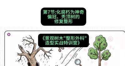 第07节：化腐朽为神奇&mdash;&mdash;偏冠、秃顶树的修复整形，课程：《景观树木&ldquo;整形外科&rdquo;造型实战特训营》#识农AI