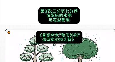 第08节：三分剪七分养&mdash;&mdash;造型后的水肥与定型管理，课程：《景观树木&ldquo;整形外科&rdquo;造型实战特训营》#识农AI