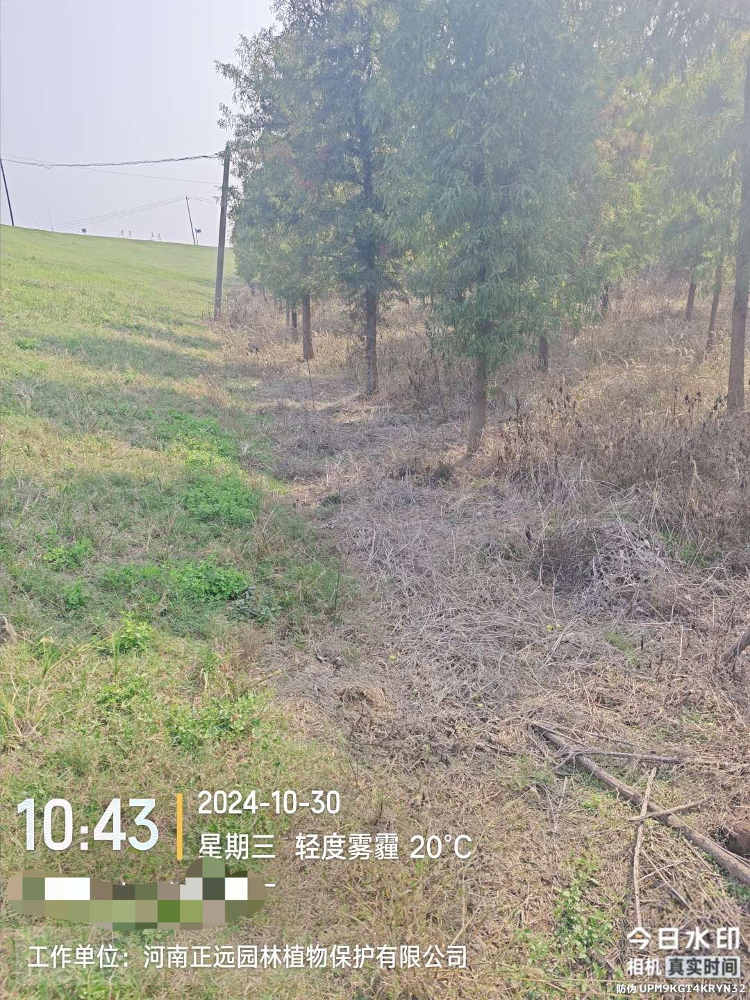 http://st-static1.weixincap.com/forums/2026/02/02/17700008881705.jpeg