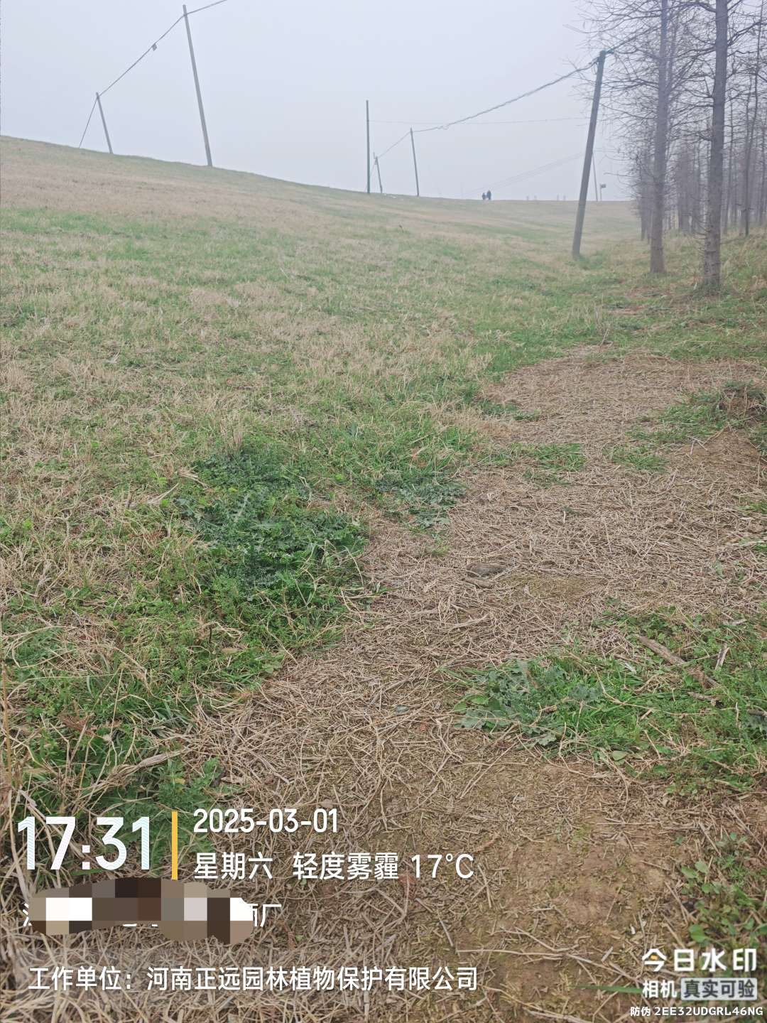 http://st-static1.weixincap.com/forums/2026/02/02/17700008893173.jpeg