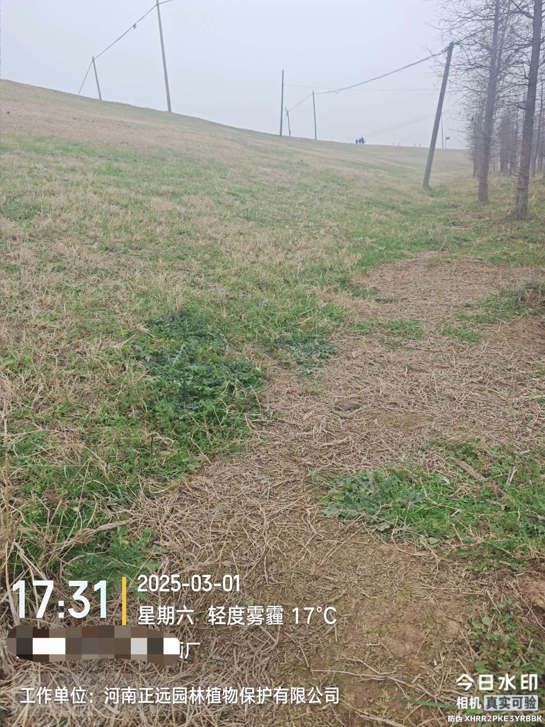 http://st-static1.weixincap.com/forums/2026/02/02/17700008909278.jpeg