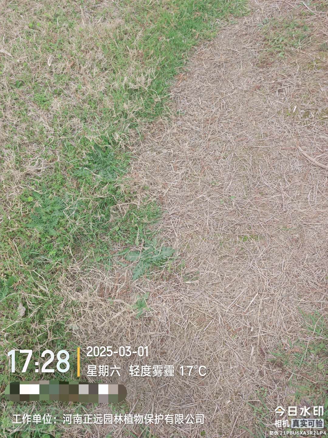 http://st-static1.weixincap.com/forums/2026/02/02/17700008917448.jpeg