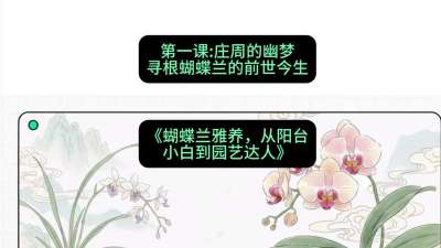 第一节：庄周的幽梦：寻根蝴蝶兰的前世今生，课程：《蝴蝶兰雅养六讲：从阳台小白到园艺达人》#识农AI