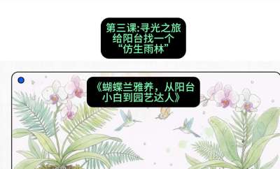 第三节：寻光之旅：给阳台找一个&ldquo;仿生雨林&rdquo;，课程：《蝴蝶兰雅养六讲：从阳台小白到园艺达人》#识农AI