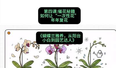 第四节：催花秘籍：如何让&ldquo;一次性花&rdquo;年年复花，课程：《蝴蝶兰雅养六讲：从阳台小白到园艺达人》#识农AI