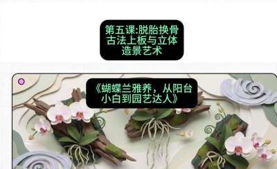 第五节：脱胎换骨：古法上板与立体造景艺术，课程：《蝴蝶兰雅养六讲：从阳台小白到园艺达人》#识农AI
