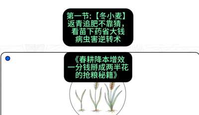 第一节：【冬小麦】返青追肥不靠猜，看苗下药省大钱