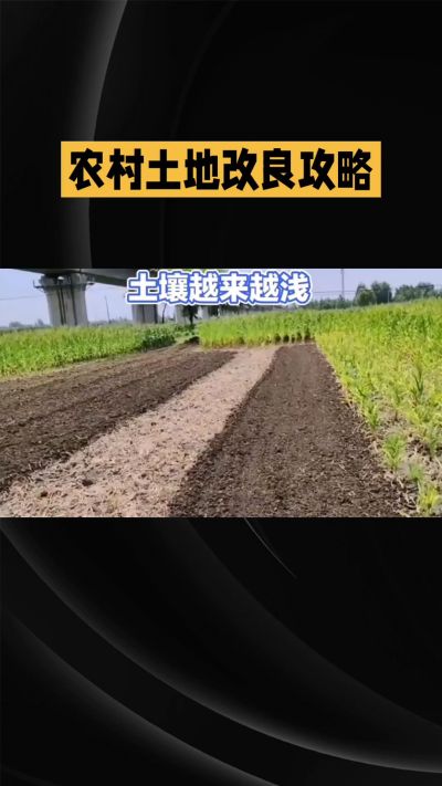 1. 先搞懂：你到底要改良哪块地、种什么
 
- 土土土在哪里？
就是你自家农田、菜地、果园，哪块地想种庄稼，就测哪块地的土。
​
- 有水没有水？
有水能浇：改良更省事，施肥、调酸碱都好操作。
没水