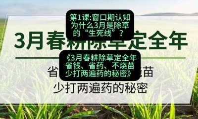 第1节：窗口期认知，为什么3月是除草的&ldquo;生死线&rdquo;？，课程：《3月春耕除草定全年：省钱、省药、不烧苗、少打两遍药的秘密》