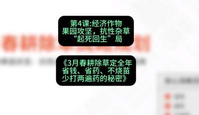 第4节：经济作物果园攻坚，抗性杂草&ldquo;起死回生&rdquo;局，课程：《3月春耕除草定全年：省钱、省药、不烧苗、少打两遍药的秘密》