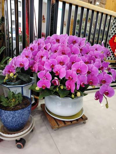 http://st-static1.weixincap.com/forums/2026/03/13/17733634635114.jpeg